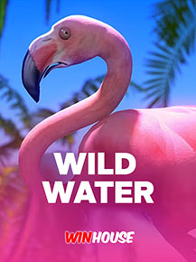 Wild Water